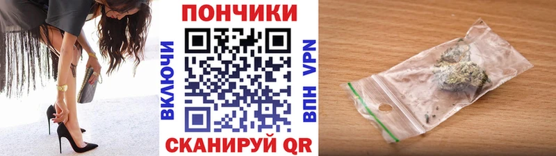 Где купить Каргополь Галлюциногенные грибы mega вход АМФ Каннабис А ПВП Кокаин МЕФ
