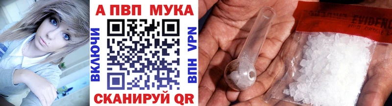 A PVP СК КРИС Каргополь